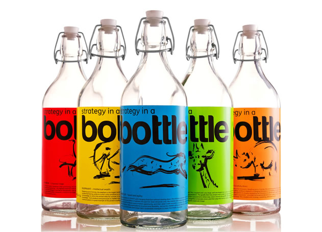 Strategy in a Bottle 1