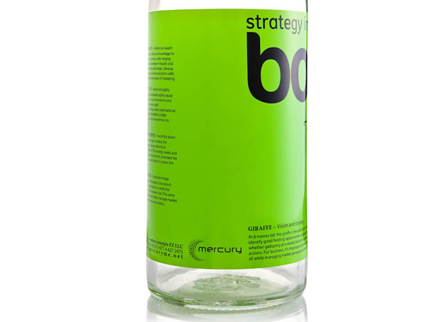 Strategy in a Bottle 2